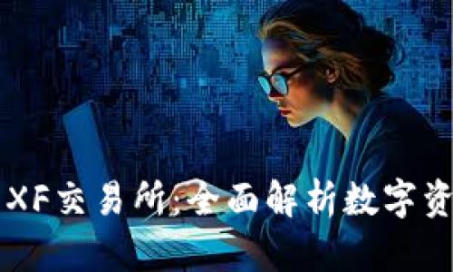 TPWallet与XF交易所：全面解析数字资产交易生态