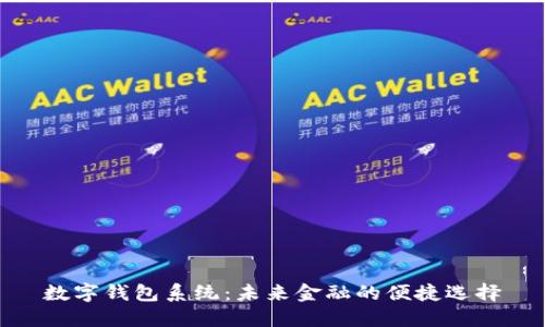 数字钱包系统：未来金融的便捷选择