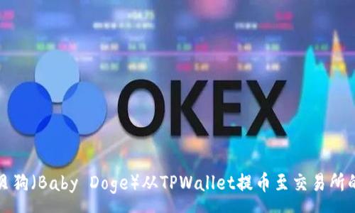 :
如何将宝贝狗（Baby Doge）从TPWallet提币至交易所的详细指南