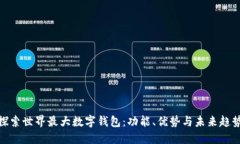 探索世界最大数字钱包：