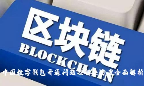 中国数字钱包开通问题及解决方案全面解析