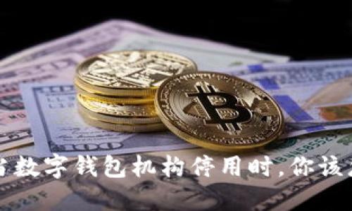 优质 当数字钱包机构停用时，你该怎么办？
