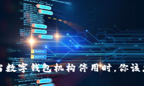 优质 当数字钱包机构停用时，你该怎么办？