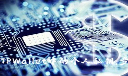 如何查看TPWallet中的个人私钥：步骤与提示