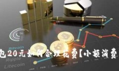 优质数字钱包20元如何合理