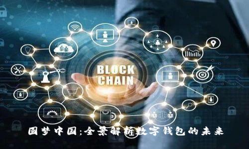 圆梦中国：全景解析数字钱包的未来