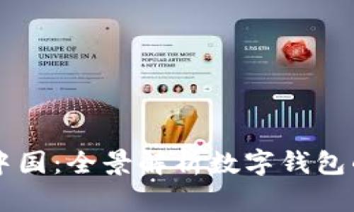 圆梦中国：全景解析数字钱包的未来