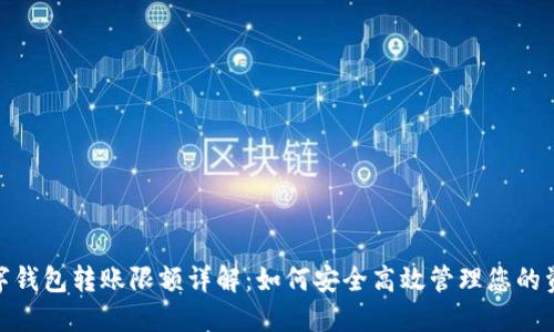 数字钱包转账限额详解：如何安全高效管理您的资金