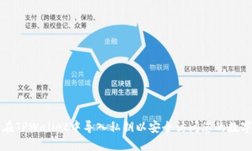 如何在TPWallet中导入私钥以安全访问您的数字资产