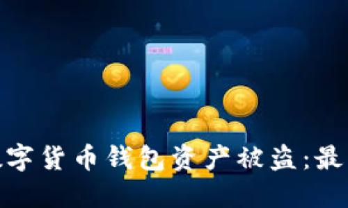 和关键词

如何防止数字货币钱包资产被盗：最佳安全建议