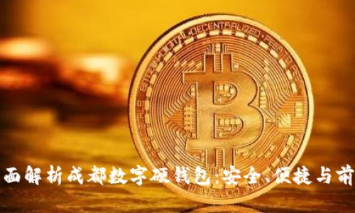 全面解析成都数字硬钱包：安全、便捷与前景