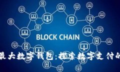 全球最大数字钱包：探索