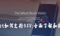 TPWallet如何支持BSV：全面了