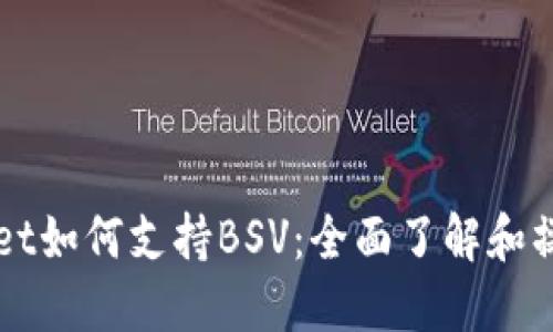 TPWallet如何支持BSV：全面了解和操作指南