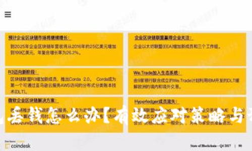 数字钱包丢钱怎么办？有效应对策略与预防措施