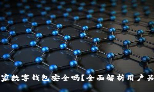宜家数字钱包安全吗？全面解析用户关切