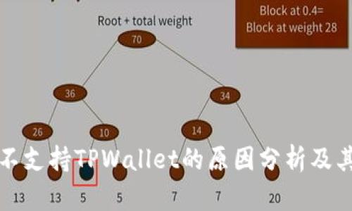 中国不支持TPWallet的原因分析及其影响