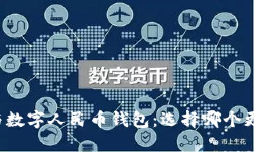 详解建行钱包与数字人民币钱包：选择哪个更符合你的需求？