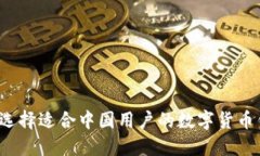 如何选择适合中国用户的