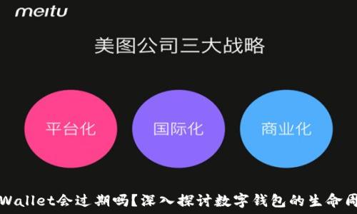   
TPWallet会过期吗？深入探讨数字钱包的生命周期