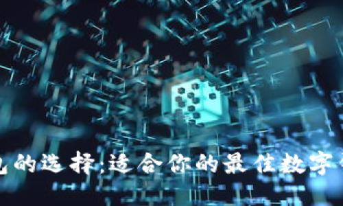 优质  
数字钱包的选择：适合你的最佳数字钱包推荐