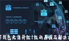 数字钱包无法升级1级的原因及解决方案