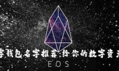 创意十足的数字钱包名字