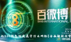 TPWallet里的BSC钱包到底属于什么网络？全面解析及