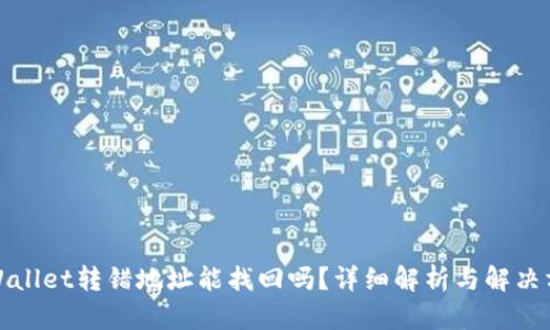 TPWallet转错地址能找回吗？详细解析与解决方案
