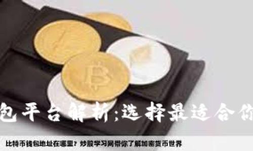 全球最大的区块链钱包平台解析：选择最适合你的数字资产管理工具