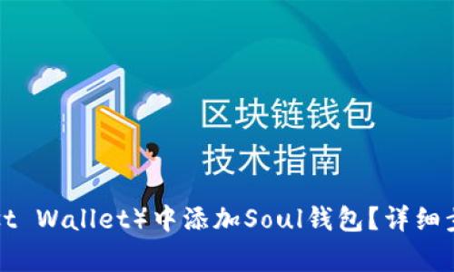 如何在TP（Trust Wallet）中添加Soul钱包？详细步骤与注意事项