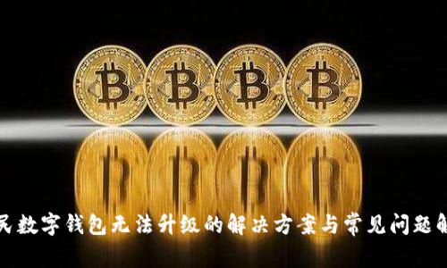 人民数字钱包无法升级的解决方案与常见问题解析