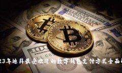 2023年迪拜最受欢迎的数字钱包支付方式全面解析