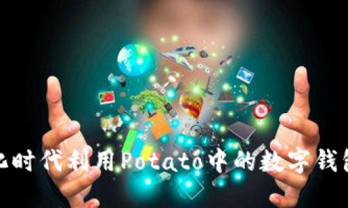 : 如何在数字化时代利用Potato中的数字钱包管理虚拟资产