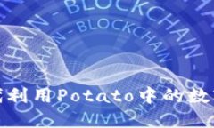 : 如何在数字化时代利用Potato中的数字钱包管理虚