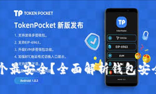 区块链钱包哪个最安全？全面解析钱包安全性与选择指南