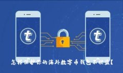 怎样保护你的海外数字币钱包不被盗？