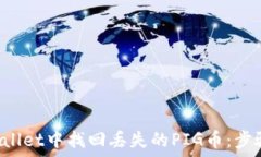   如何在TP Wallet中找回丢失