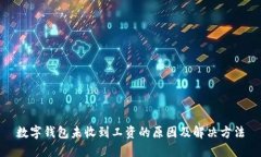 数字钱包未收到工资的原因及解决方法