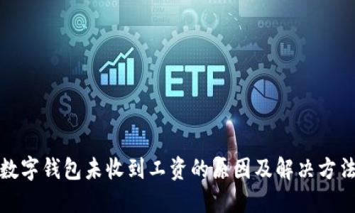 数字钱包未收到工资的原因及解决方法