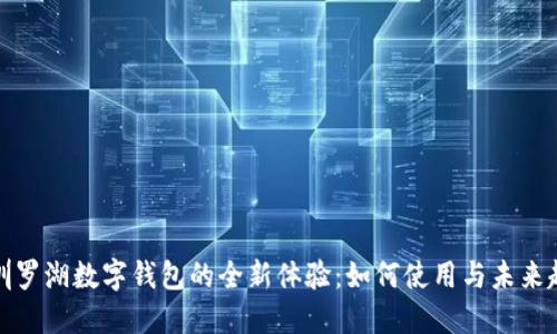 深圳罗湖数字钱包的全新体验：如何使用与未来趋势