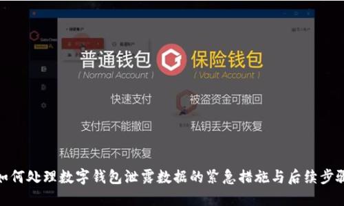 如何处理数字钱包泄露数据的紧急措施与后续步骤