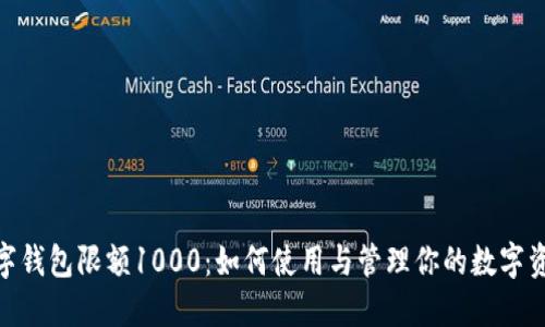数字钱包限额1000：如何使用与管理你的数字资金