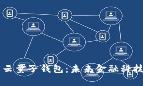 中国数字云量子钱包：未来金融科技的新希望
