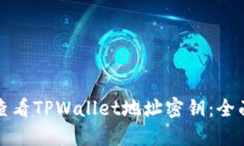 如何查看TPWallet地址密钥：全面指南