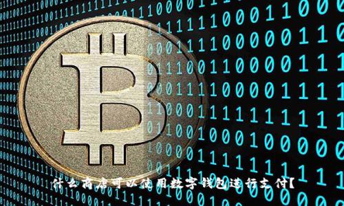 什么商店可以使用数字钱包进行支付？