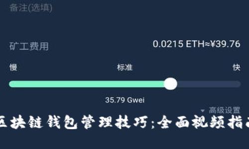 区块链钱包管理技巧：全面视频指南