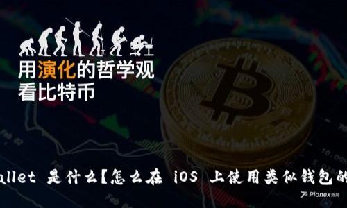 TPWallet 是什么？怎么在 iOS 上使用类似钱包的功能