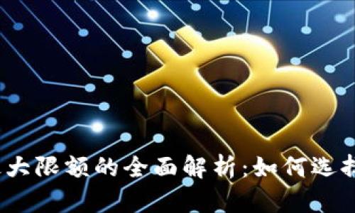 数字钱包存蓄最大限额的全面解析：如何选择适合你的钱包？