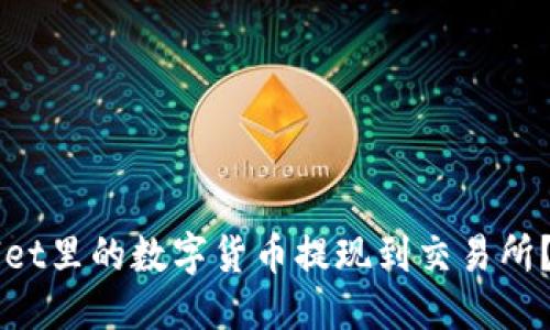 优质  
如何将TPWallet里的数字货币提现到交易所？详细操作指南